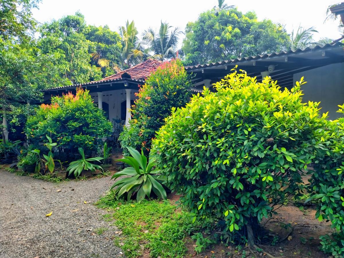 Dickwella Green Villa Εξωτερικό φωτογραφία